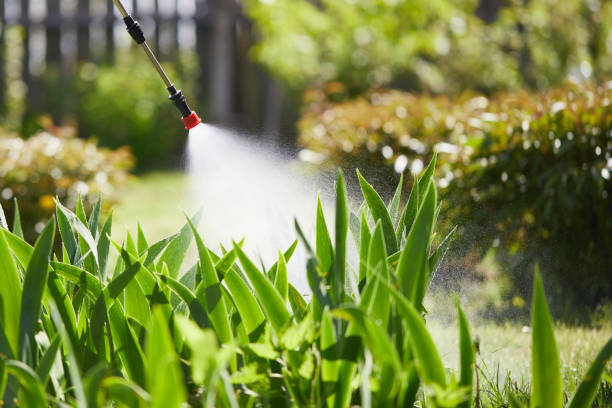 24/7 Emergency Wasp Removal experts in Fordoche, LA