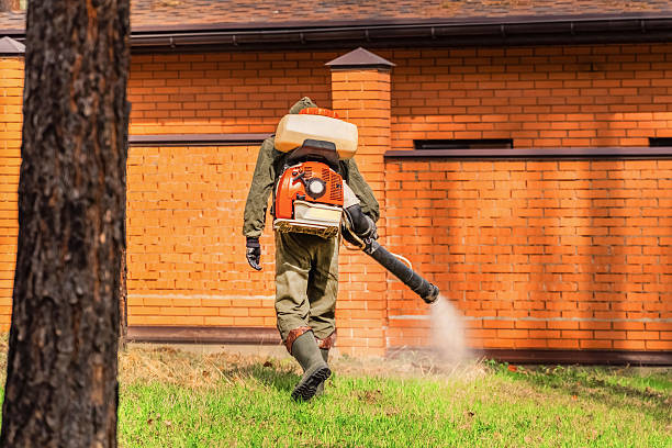 Top rated local Wasp Removal specialists in Fordoche, LA